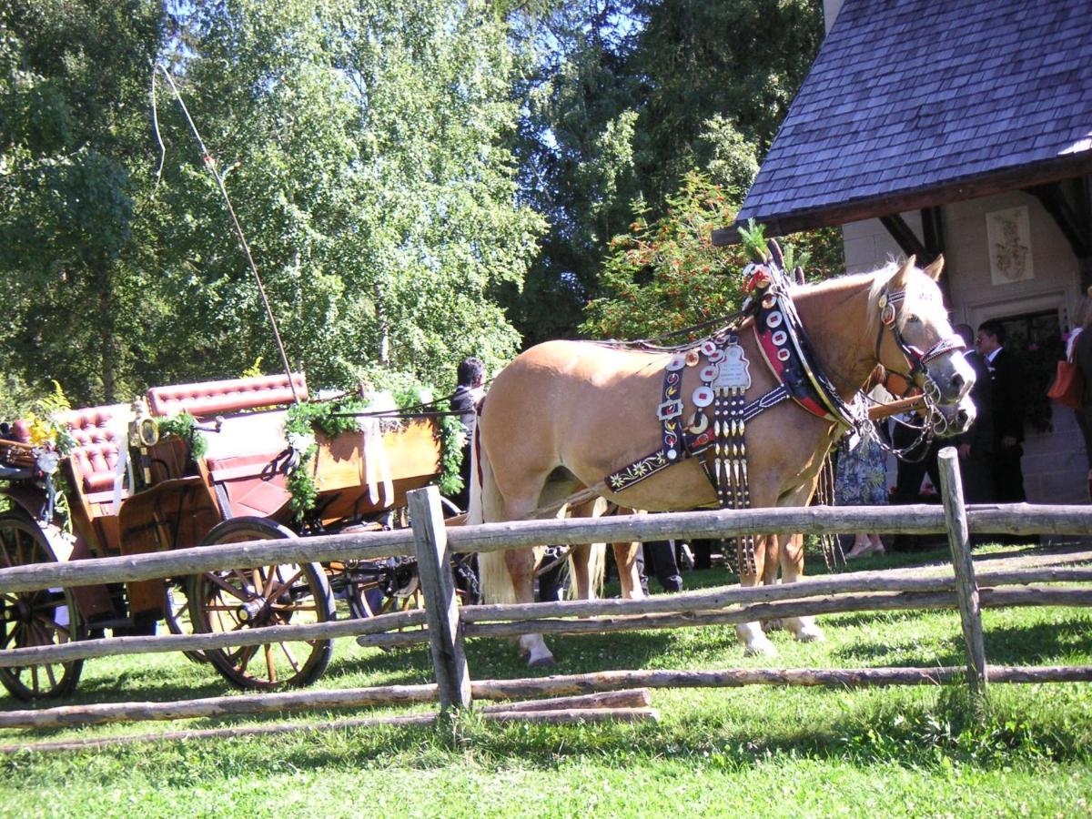 Hotel Ansitz Kematen ***S Collalbo Esterno foto